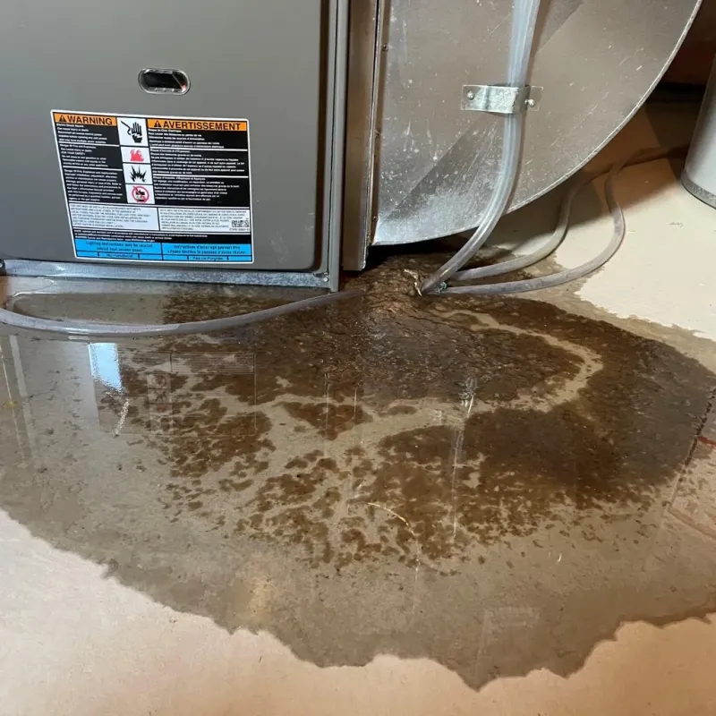 Appliance Leak Cleanup in Lewisville, NC